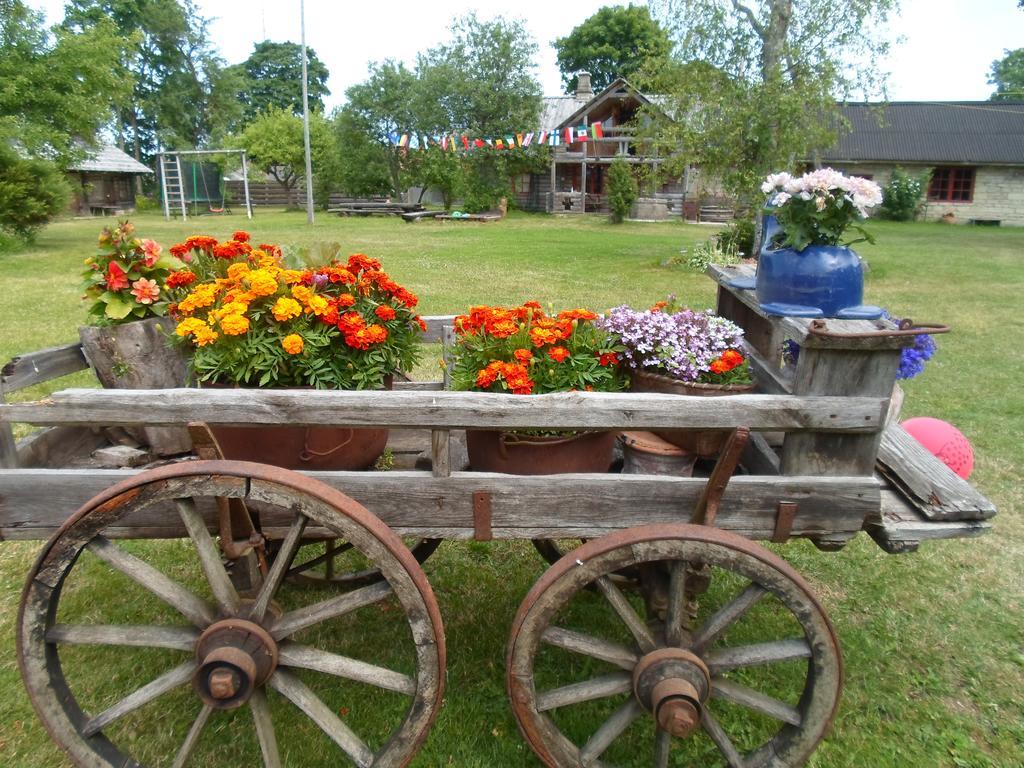 Ansumardi Farmstay Kavandi Zewnętrze zdjęcie